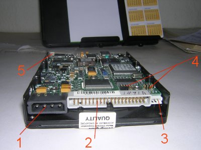 pata01a.jpg