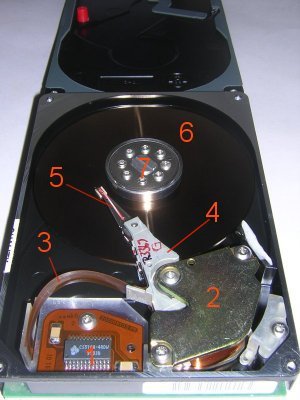 pata01d.jpg