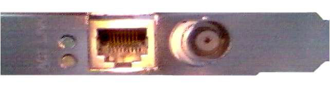 lan2a.jpg