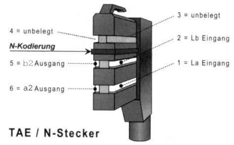 telsn1b.jpg