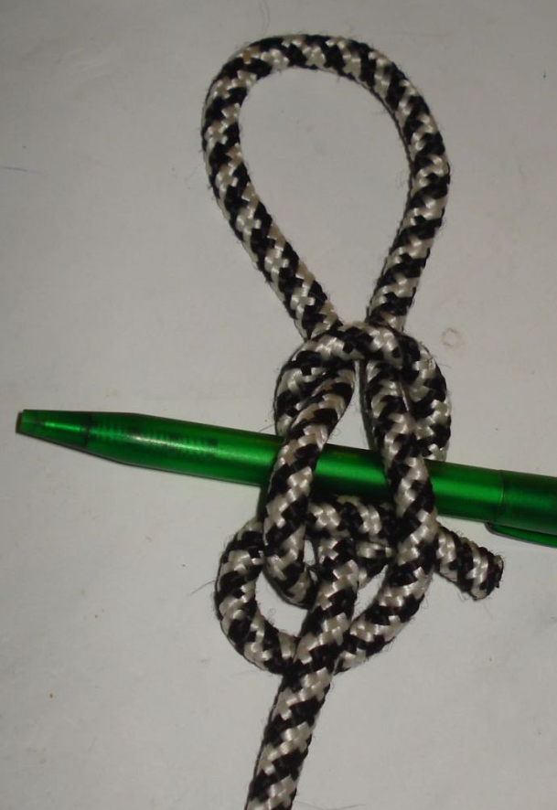 knot19d.png